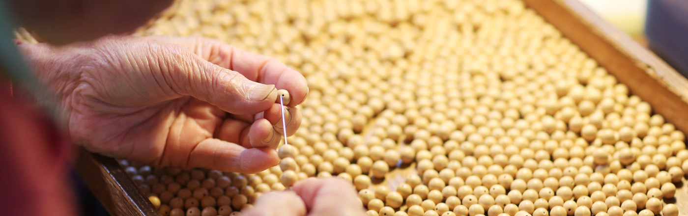 정읍보리수염주