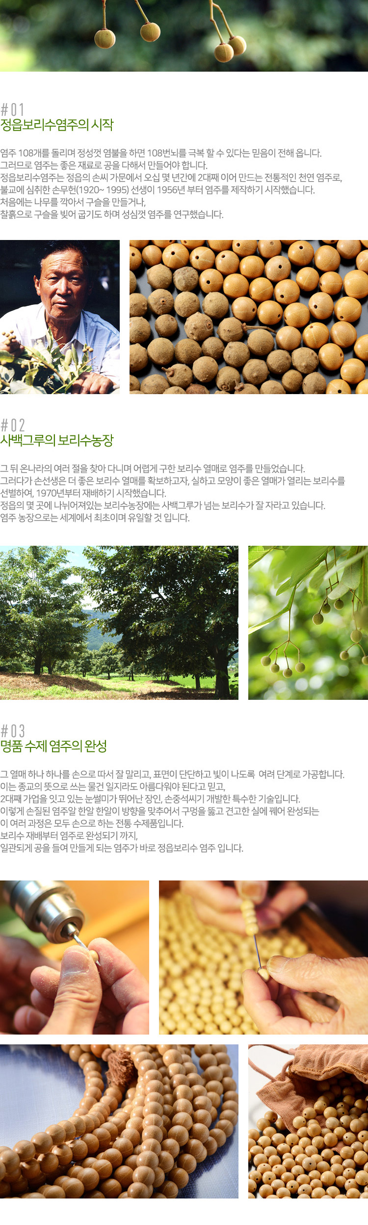 정읍보리수염주